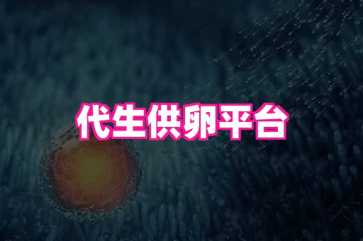 swisee孕网 1