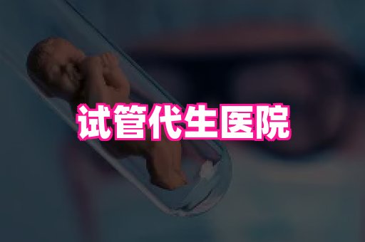 swisee孕网 3