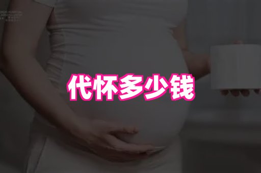 swisee孕网 4
